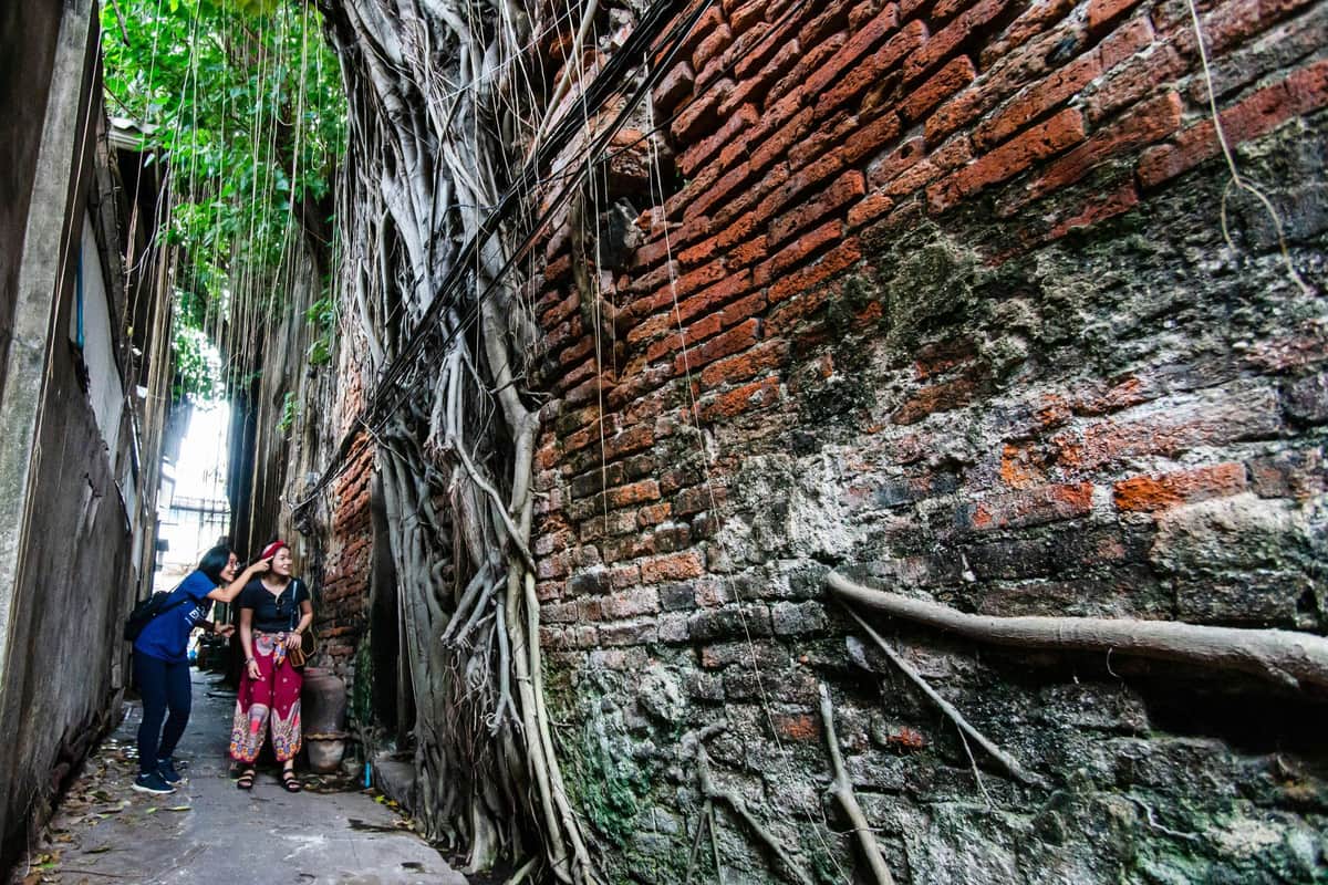 Chinatown Bangkok: Private Walking Tour + Food & Drinks Discover the secrets of Chinatown's back alleys in Bangkok!