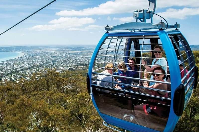 Green Olive at Red Hill: Lunch + Arthurs Seat Eagle Roundtrip Gondola Ticket A group of people riding in a blue gondola lift above a scenic landscape with trees and a distant city view.