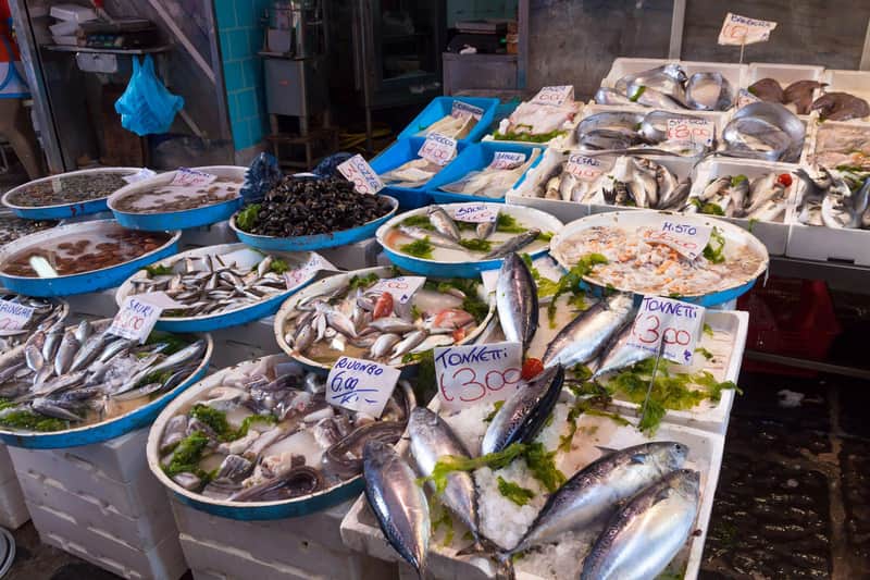 Tour of the Market