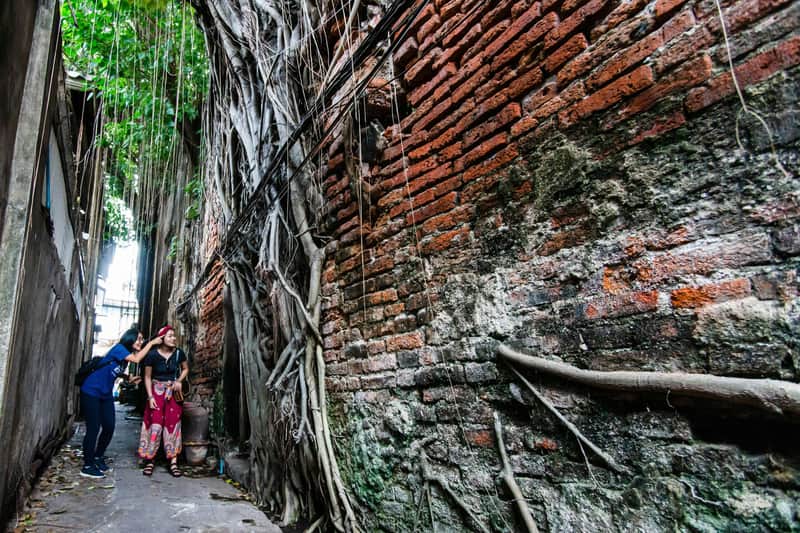 Chinatown Bangkok: Private Walking Tour + Food & Drinks Discover the secrets of Chinatown's back alleys in Bangkok!